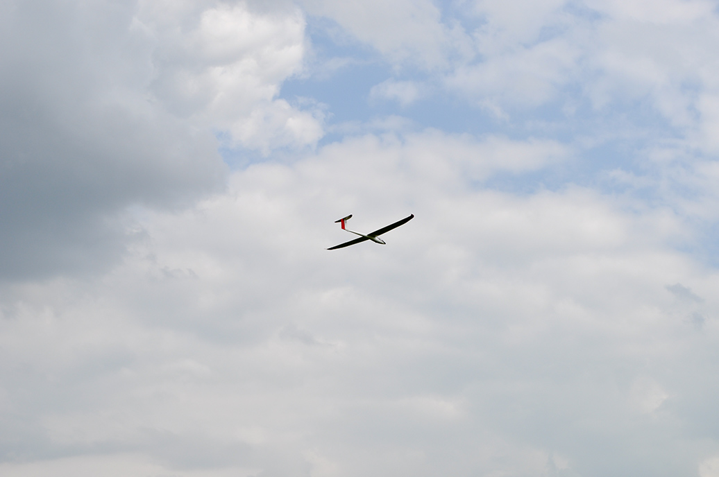 DSC_1610
